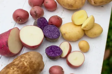 ¿Enfriar el arroz, la pasta y la patata reduce calorías? La ciencia detrás de la retrogradación