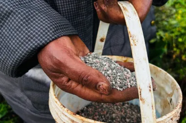 Cuando la guerra en el Golfo siembra hambre: la crisis global del fertilizante y sus consecuencias