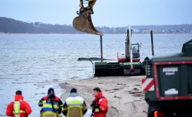 La ballena jorobada en el Báltico: una odisea entre rescates, errores de navegación y límites biológicos