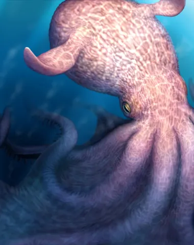 Los krakens del Cretácico: cómo mandíbulas fosilizadas reescriben la historia de los depredadores marinos
