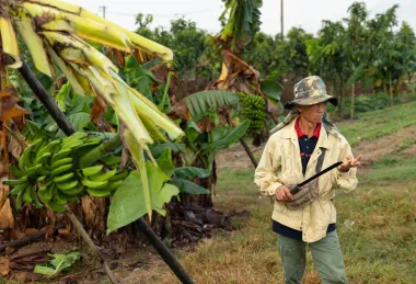Ríos envenenados: cómo la fiebre por las tierras raras amenaza al Mekong y a millones de vidas
