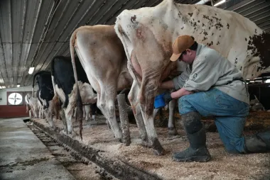 La disputa sobre la leche cruda en EE. UU.: auge legislativo, riesgos documentados y el debate sobre su regulación