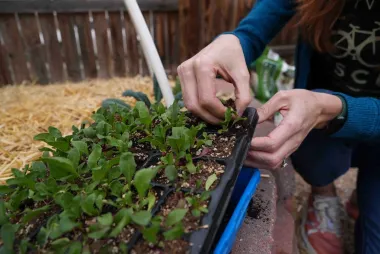 Cultivar con sed: cómo diseñar un huerto doméstico resiliente en tiempos de sequía