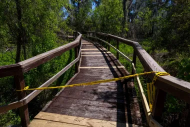 Barataria Preserve: reconstrucción, resiliencia y la difícil cuenta regresiva de la costa de Luisiana