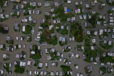 La ciénaga asfixiada: cómo una planta invasora pone en jaque a comunidades lacustres de Colombia