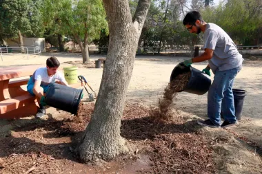 Barrer la mente: cómo las tareas del hogar pueden mejorar tu salud mental