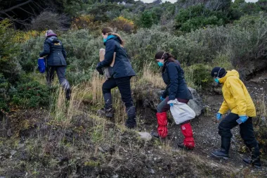 Tras las huellas del colilargo: la investigación en Ushuaia por el brote de hantavirus que sacudió un crucero
