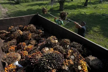 Mercados globales en tensión: petróleo, rendimientos y el giro de Indonesia sobre sus recursos