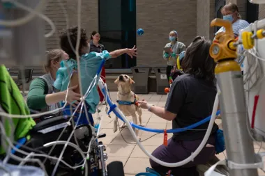 <h1>Perros de terapia a jornada completa: cómo Hadley y sus colegas transforman la experiencia hospitalaria infantil</h1>