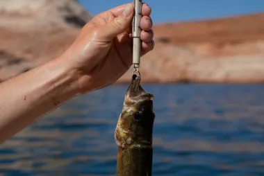 El agua fría como última defensa: el dilema del Glen Canyon, la presa y el futuro del Colorado