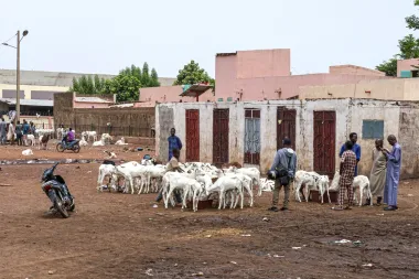 Tabaski bajo bloqueo: cómo la crisis en Mali encareció la carne y trastocó una tradición milenaria
